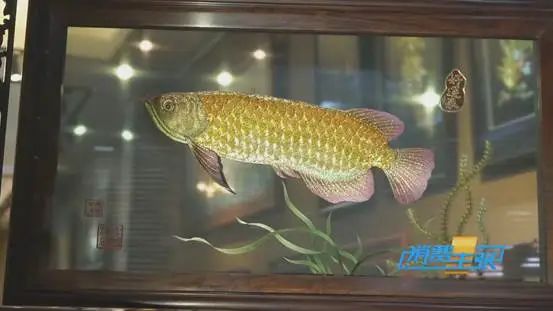 DƬ